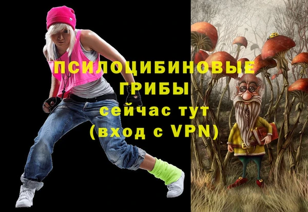 PSILOCYBIN Киров