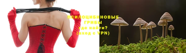 марки lsd Краснослободск