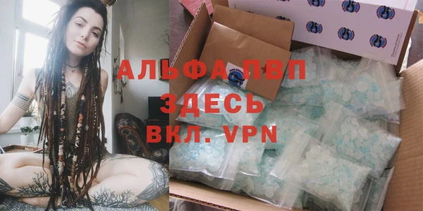 a pvp Коряжма