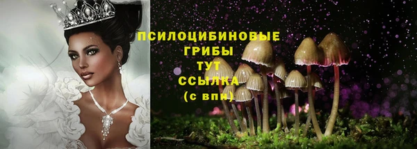 МДПВ Корсаков