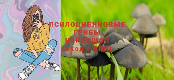 марки lsd Краснослободск