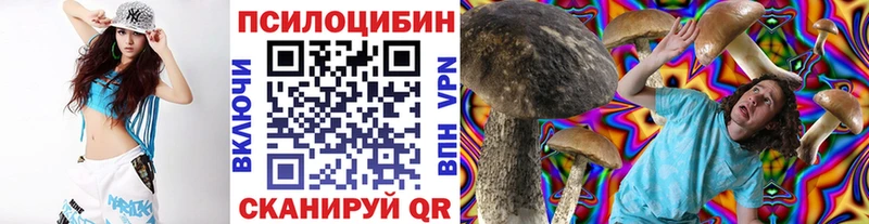 Галлюциногенные грибы мицелий  где купить наркоту  это какой сайт  Топки 