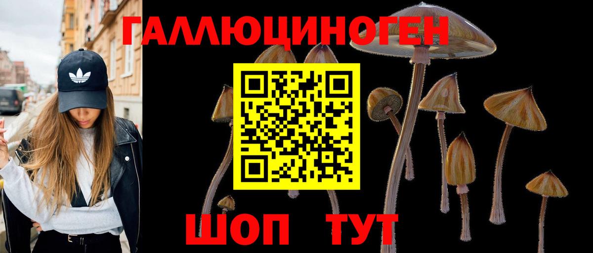 Псилоцибиновые грибы ЛСД  Вход с VPN  Топки 